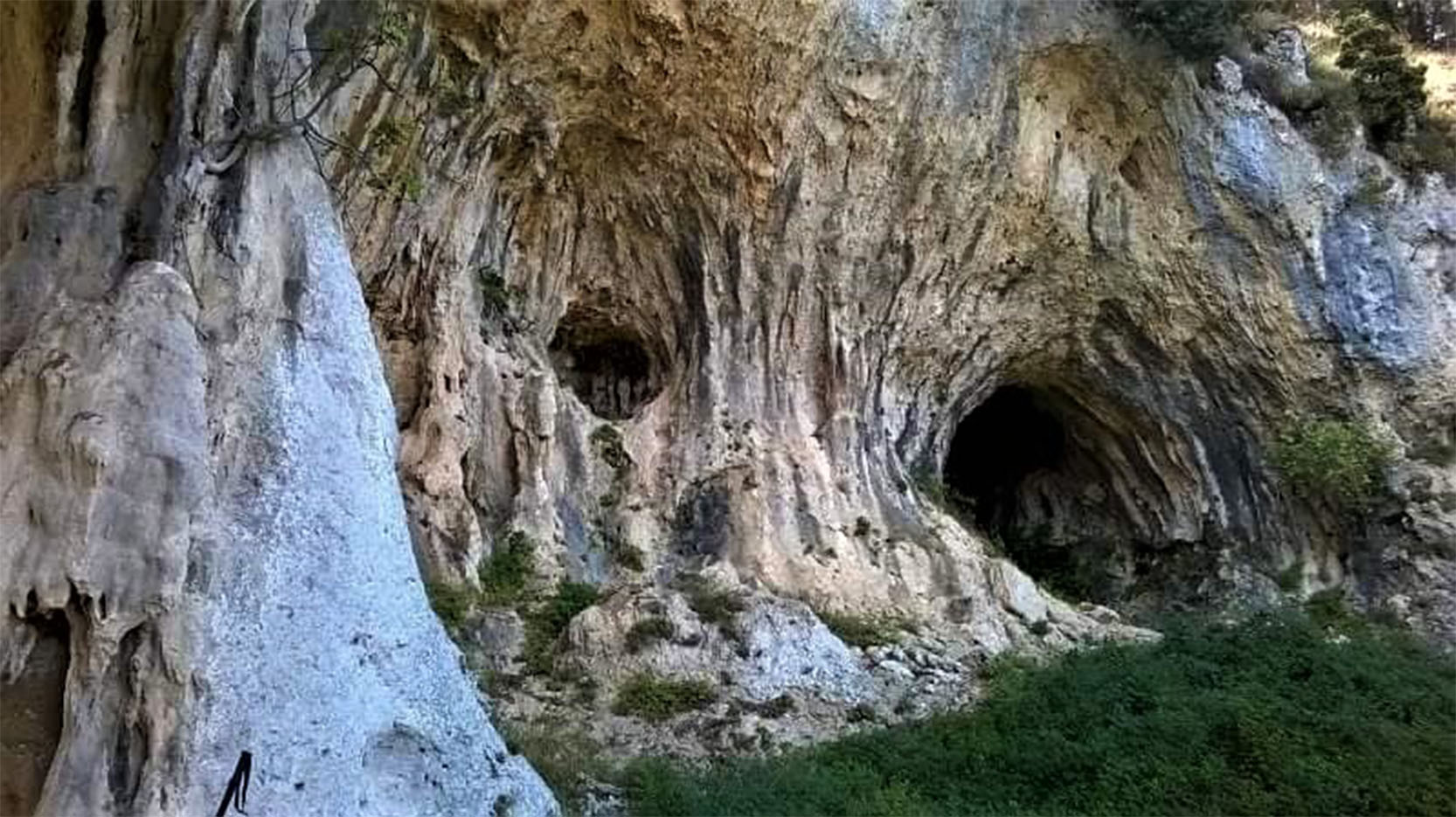 Parco della Grotta Grattara ed escursioni nella pineta